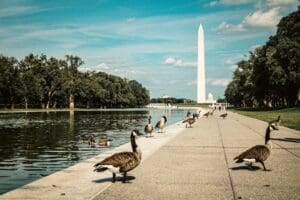 hotel di Washington D.C.